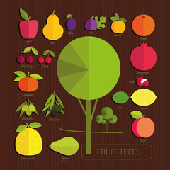 fruits of fruit trees