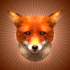 Polygonal Fox