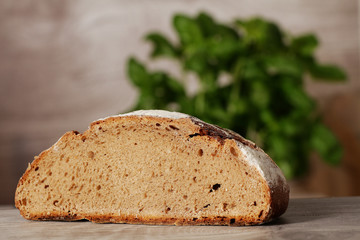 Bio Brot