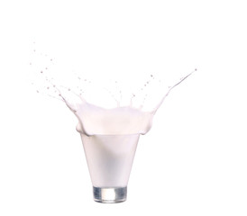 splash of milk in a glass isolated on white
