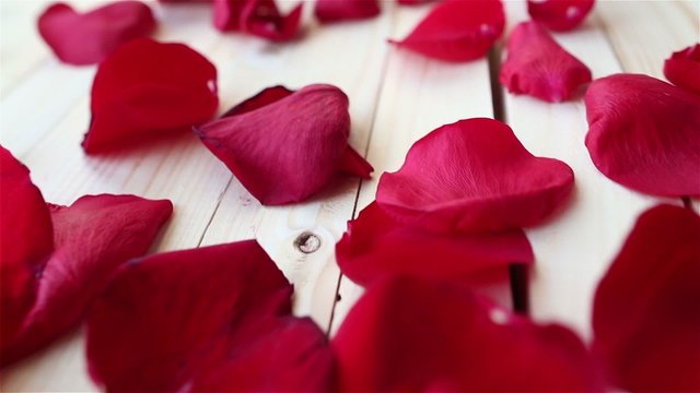 Red rose petals  wooden background