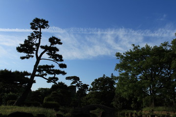 大阪観光　住吉大社