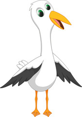 happy seagull cartoon