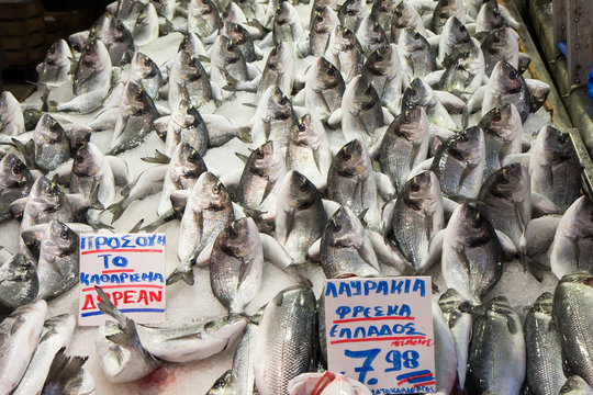 Fresh fish