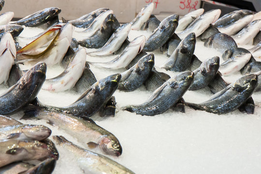 Fresh fish