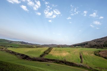 Fototapeta premium Campagna verdeggiante