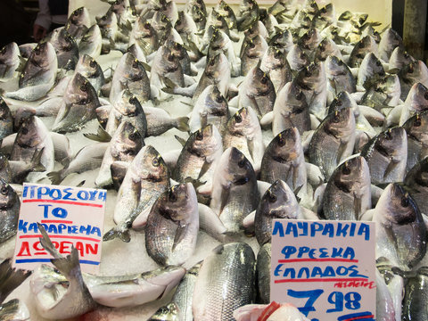 Fresh fish