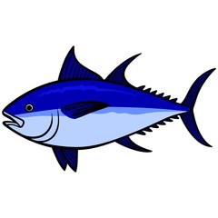 Bluefin Tuna