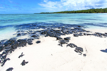 beach ile du cerfs seaweed in indian ocean mauritius