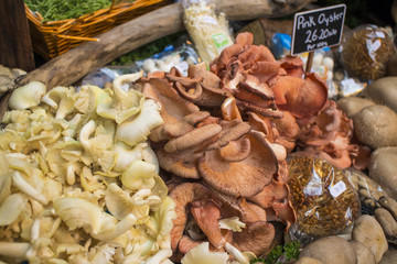 Pink and other oyster mushrooms in the market