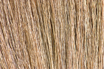 Texture of  broom