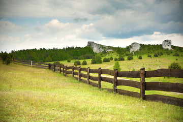 Fototapeta premium sky and grass 