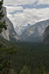 Fototapeta premium Yosemite Valley in the western Sierra Nevada mountains of Califo