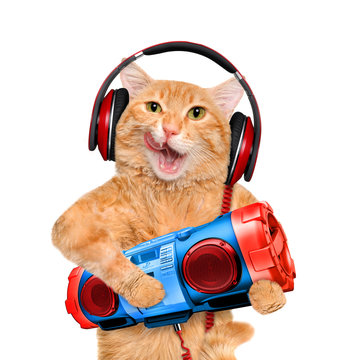 Cat Headphones With Tape Recorder.