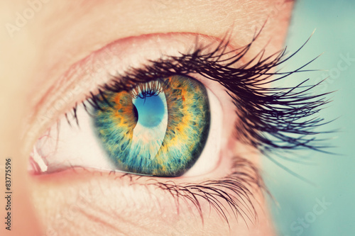 "eye" Stockfotos und lizenzfreie Bilder auf Fotolia.com - Bild 83775596