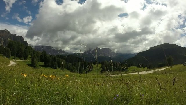 Panorama di montagna da un prato di erba verde