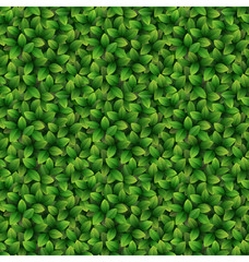 Green leaves seamless texture background
