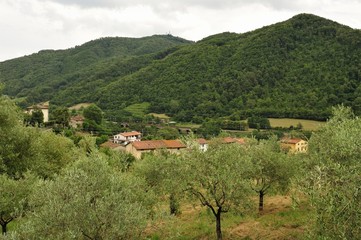 Fototapeta na wymiar Italian countryside between Firenze and Bologna.