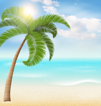 Beach with palm and clouds. Summer vacation sunny background