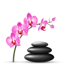 Stack of spa stones with orchid pink flowers isolated on white b