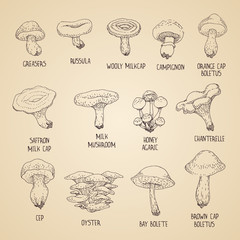 Mushrooms
