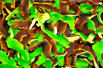 Gummy crocodile candy