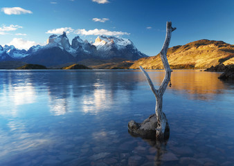 National park Torres del Paine, Patagonia, Chile
