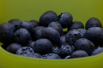 Borówki  © Wojciech Serwach