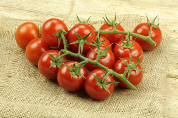 tomates cerises 22052015