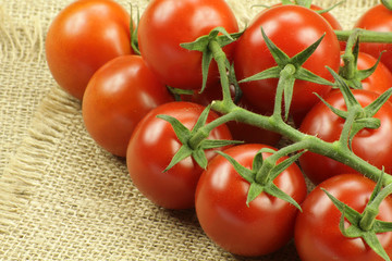 tomates cerises 22052015