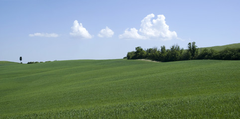 Agricultural landscape in Tuscany, Italy