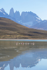 National Park Torres del Paine, Patagonia, Chile