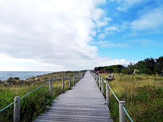 Fototapeta na wymiar Passadiço de madeira junto à praia