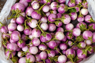 Fresh eggplants in market