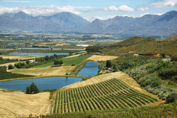 Landscape of lagoons and vineyards from Gydo Pass,