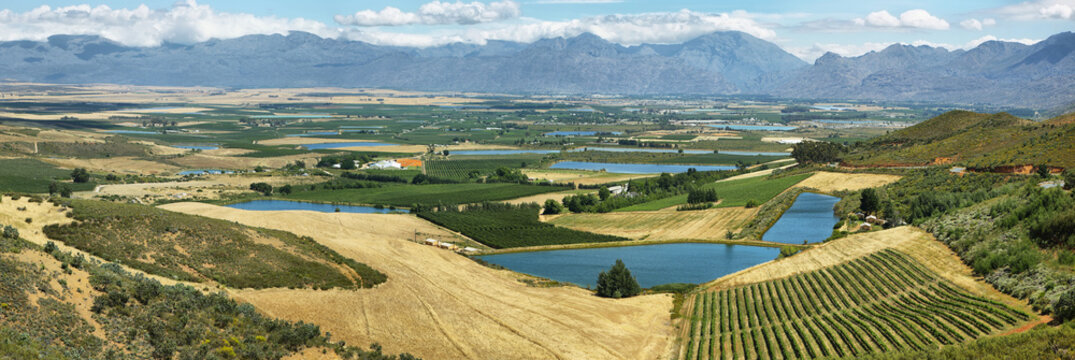 Landscape of lagoons and vineyards from Gydo Pass,