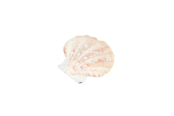 Beach accessories on white background