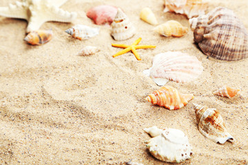 Beach accessories on white background