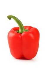 Orange pepper with water drops 