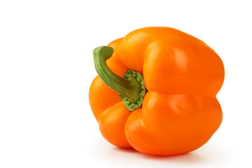 Orange pepper with water drops 
