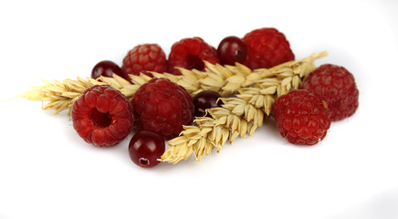 raspberries and cranberries with cereal ears