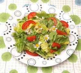 frischer Salat