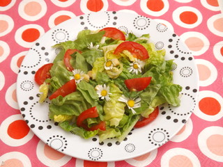frischer Salat