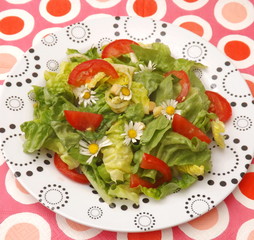 frischer Salat