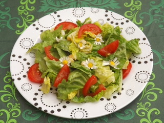 frischer Salat