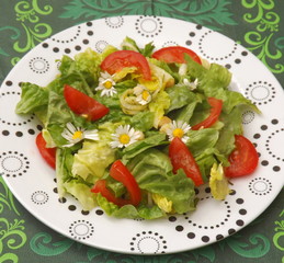 frischer Salat
