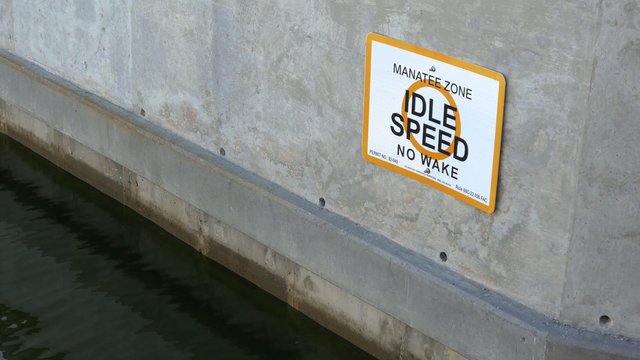 Manatee Zone boating sign on Florida canal, WIDE, 4K