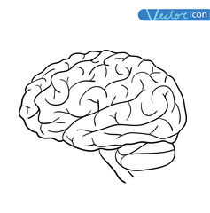  Human brain icon, vector illustration