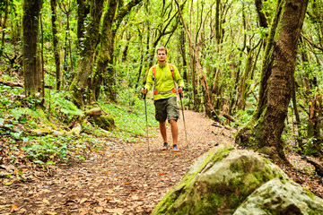 Naklejka na ściany i meble Hiker walking trekking in green forest