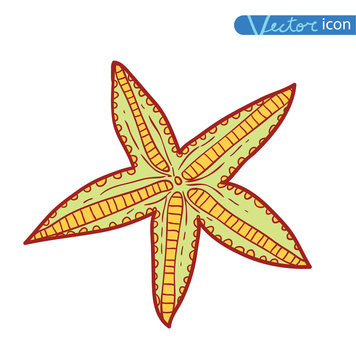 icon Starfishes .hand drawn Vector Illustration